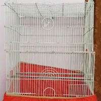 قفس