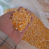 ذرت شکسته ۴ پاره