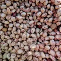 باسلام لوبیا چیتی