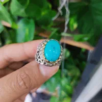 فیروزه عجمی