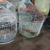 قفس گرد سهره