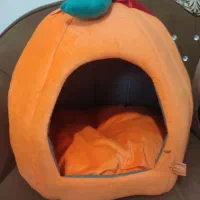وسایل گربه