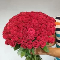 رز هلندی رایگان در مشهد