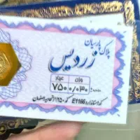 سکه پارسیان