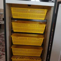 دستگاه جوجه کشی