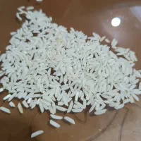 برنج صدری زرد دم