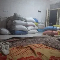 گندم|عمده‌فروشی|جره و بالاده, |دیوار