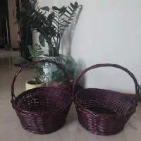 سبد