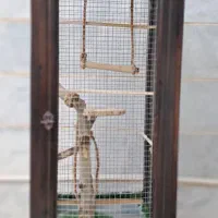قفس دست ساز و زیبا
