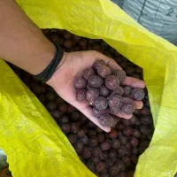 فروش عناب و زرشک درجه یک