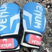 دست کش بوکس