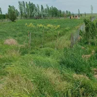 زمین مجوز دار بر جاده سلماس