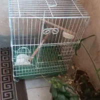 یک عدد قفس بزرگ پرنده