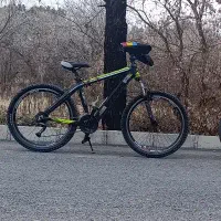 دوچرخه ویوا اصل