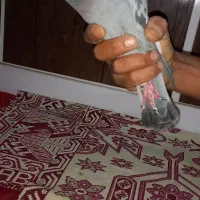 کبوتر|پرنده|هندیجان, |دیوار