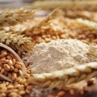 خریدار جو دیم و آبی