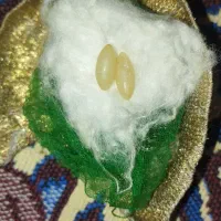 سنگ های قیمتی