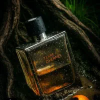 تق هرمس مردانه