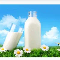 ماست.کشک و دوغ و شیر خونگی.