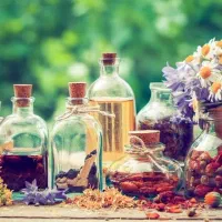 محصولات گیاهی لیلیوم