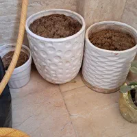 ۶ عدد گلدان سرامیک