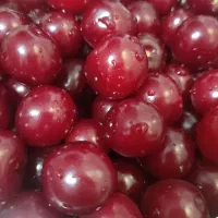 مربا آلبالو خانگی