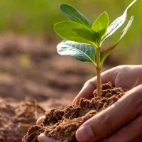 فراخوان محدود اعطای نمایندگی فروش  شرکت ویرا