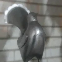 فروش دو جفت پرنده علامت کار استاد مبصری