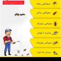 سمپاشی ۱۰۰٪سوسک،مورچه، موش سم پاشی منازل