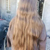 مو طلایی