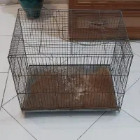 قفس پرنده