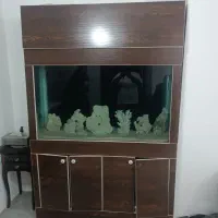 آکواریوم ۱۰میل حرفه ای