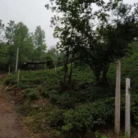1400متر مسکونی کتشال