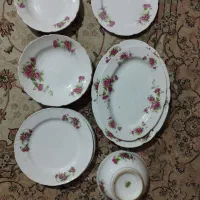 ظروف گل سرخی