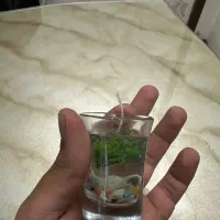 شمع اکواریم و گیفت