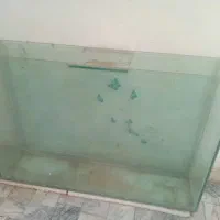 آکواریوم بزرگ شیشه سکوریت