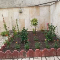 سمپاشی و باغبانی و هرستکاری در همه نقاط تهران