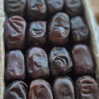 تناژ ...مضافتی وکلوته وربی موجود