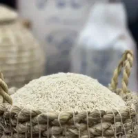 پخش برنج طارم تضمین شده