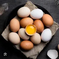 تخم مرغ محلی