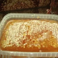 عسل درجه یک و درمانی به شرط
