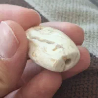 مهره اصلی