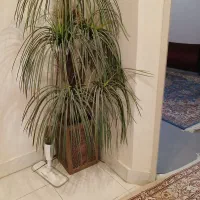 درخت نخل مصنوعی