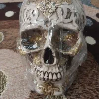 مجسمه دکوری اسکلت سر