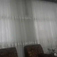 پرده تور با کتیبه