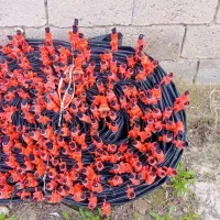 شلنگ 4اینچ نخ دار همراه شیرهای ابیاری