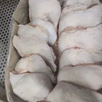 سنگدان منجمد  مرغ منجمد