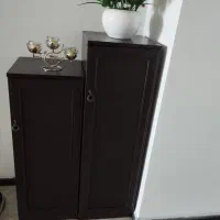 جاکفشی ۲عدد