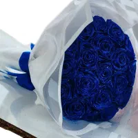 گل مدرن|گل و گیاه طبیعی|خرمدره, |دیوار