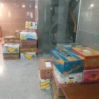خرید و فروش کارتن موزی